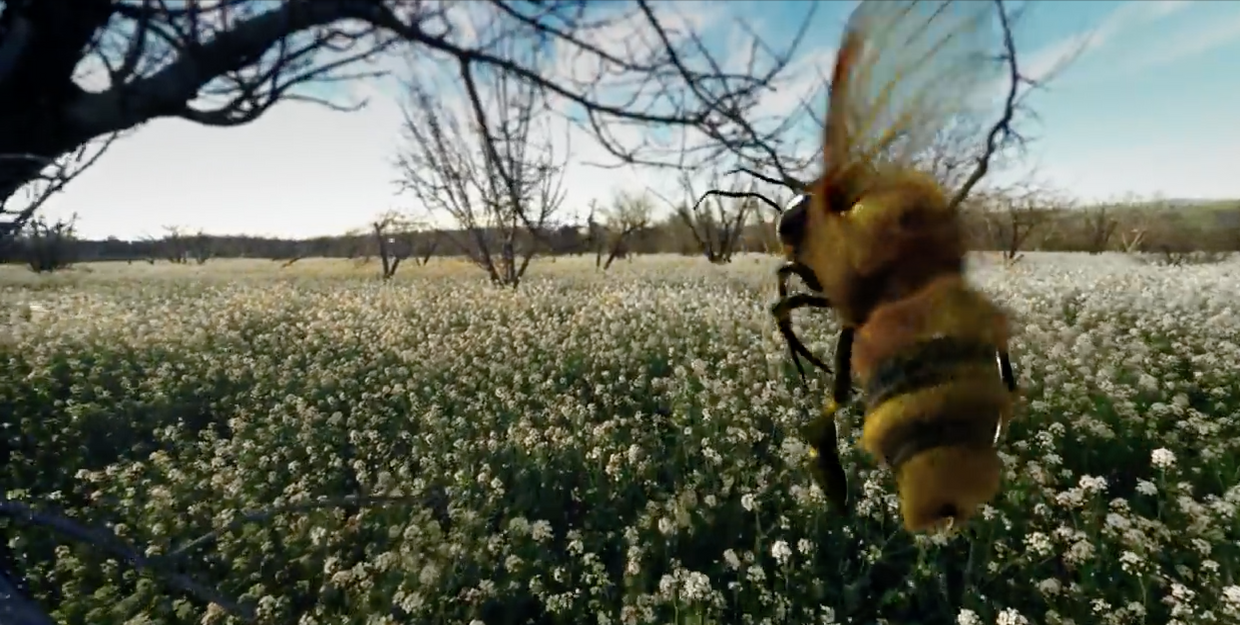 Haagen-Daaz - VR Honeybee Experience